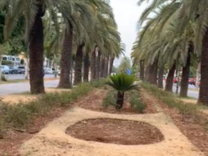 الإهمال يهدد المتنفسات الخضراء في مدينة فاس الإهمال يهدد المتنفسات الخضراء في مدينة فاس