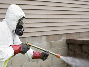 الدار البيضاء تكثف جهودها لمواجهة انتشار الحشرات والصراصير الدار البيضاء تكثف جهودها لمواجهة انتشار الحشرات والصراصير