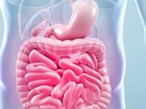 دعم ميكروبيوم الأمعاء: مفتاح الشيخوخة الصحية دعم ميكروبيوم الأمعاء: مفتاح الشيخوخة الصحية