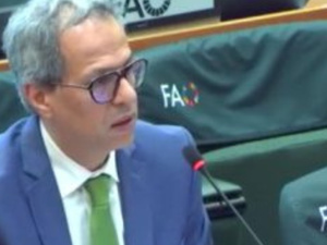 المغرب يدعم الدول النامية من خلال تعاون جنوب-جنوب فعال المغرب يدعم الدول النامية من خلال تعاون جنوب-جنوب فعال