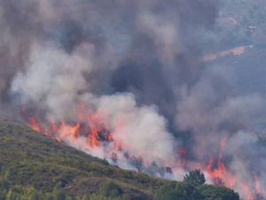 إخماد حريق غابة بني ليث: تدخلات مكثفة للسيطرة على الكارثة إخماد حريق غابة بني ليث: تدخلات مكثفة للسيطرة على الكارثة