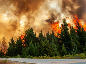 موجة حر وسلوكيات بشرية تهدد باندلاع حرائق جديدة في غابات المغرب موجة حر وسلوكيات بشرية تهدد باندلاع حرائق جديدة في غابات المغرب