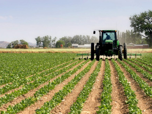 المغرب في صلب التحول الفلاحي : إشادة أممية بدوره المحوري في تعزيز الأمن الغذائي المغرب في صلب التحول الفلاحي : إشادة أممية بدوره المحوري في تعزيز الأمن الغذائي