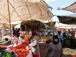 غلاء الأسعار في المغرب: بين الانتقادات الشعبية ودعوات إلى تعزيز الرقابة وحماية المستهلك غلاء الأسعار في المغرب: بين الانتقادات الشعبية ودعوات إلى تعزيز الرقابة وحماية المستهلك