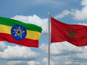 الأسبوع المغربي-الإثيوبي للاقتصاد الاجتماعي والتضامني: تمكين المرأة عبر ريادة الأعمال المستدامة الأسبوع المغربي-الإثيوبي للاقتصاد الاجتماعي والتضامني: تمكين المرأة عبر ريادة الأعمال المستدامة