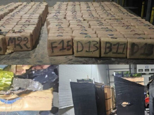 إجهاض محاولة تهريب مخدرات ضخمة في ميناء طنجة المتوسط