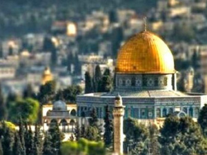 مالطا تعلن اعترافها الرسمي بدولة فلسطين: خطوة نحو تعزيز حل الدولتين