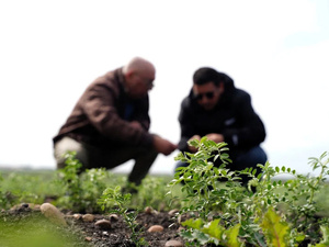 سفير المغرب بالبرازيل: شراكة استراتيجية متنامية وموقف داعم لمقترح الحكم الذاتي سفير المغرب بالبرازيل: شراكة استراتيجية متنامية وموقف داعم لمقترح الحكم الذاتي