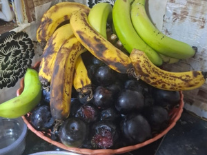 السلطات المحلية بمرتيل تشدد الرقابة على المحلات التجارية لضمان سلامة المصطافين السلطات المحلية بمرتيل تشدد الرقابة على المحلات التجارية لضمان سلامة المصطافين