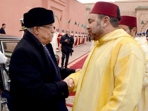 المغرب يعزز دعمه للقضية الفلسطينية بمبادرة إنسانية رائدة المغرب يعزز دعمه للقضية الفلسطينية بمبادرة إنسانية رائدة