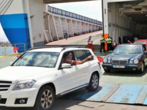 التشاؤم الرقمي: بين التضليل المقصود والانتقادات الفردية التشاؤم الرقمي: بين التضليل المقصود والانتقادات الفردية