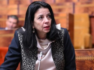 السغروشني تكشف ملامح تفعيل الطابع الرسمي للأمازيغية داخل المرافق العمومية