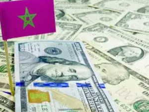 التحويلات المالية تغذي الوطن… فأين حقوق المشاركة؟ التحويلات المالية تغذي الوطن… فأين حقوق المشاركة؟