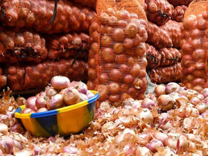 المغرب يسجل رقماً قياسياً في صادرات البصل بعد رفع الحظر