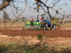 الاستعدادات للموسم الزراعي الجديد تنطلق في مختلف مناطق المغرب الاستعدادات للموسم الزراعي الجديد تنطلق في مختلف مناطق المغرب
