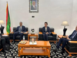 المغرب وموريتانيا يعززان تعاونهما في مجالات الطاقة والكهرباء والطاقات المتجددة