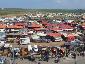 100 مليار سنتيم لتحديث الأسواق الأسبوعية بالمغرب.. خطة الحكومة لإنعاش الاقتصاد القروي 100 مليار سنتيم لتحديث الأسواق الأسبوعية بالمغرب.. خطة الحكومة لإنعاش الاقتصاد القروي