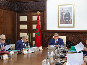 الحكومة تبسط شروط الولوج للشرطة البيئية لتعزيز عدد المفتشين وطنياً الحكومة تبسط شروط الولوج للشرطة البيئية لتعزيز عدد المفتشين وطنياً