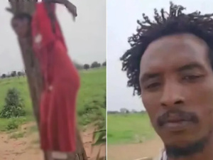 "علقوها على الشجرة" مأساة قسمة علي عمر: قصة الفتاة السودانية تثير غضبًا شعبيًا واسعًا "علقوها على الشجرة" مأساة قسمة علي عمر: قصة الفتاة السودانية تثير غضبًا شعبيًا واسعًا