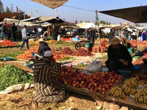 برنامج وطني بمليار درهم لتحسين البنية التحتية للأسواق الأسبوعية