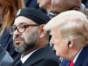 عضو بالكونغرس الأمريكي: المغرب حليف تاريخي وشريك موثوق للولايات المتحدة عضو بالكونغرس الأمريكي: المغرب حليف تاريخي وشريك موثوق للولايات المتحدة