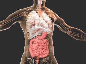 كاميرا جديدة تكشف أدق تفاصيل الجسم البشري بتقنيات عالية كاميرا جديدة تكشف أدق تفاصيل الجسم البشري بتقنيات عالية