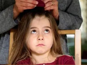 تأثير القمل على صحة الأطفال في المدارس: مشكلة صحية تحتاج الانتباه