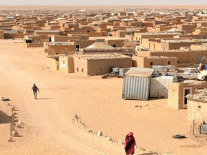 مخيمات تندوف بين المساعدات الإنسانية والتحايل على المستفيدين مخيمات تندوف بين المساعدات الإنسانية والتحايل على المستفيدين