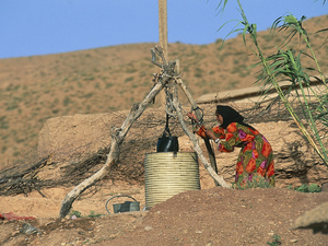 تاوريرت.. 23 مشروعا بـ12.9 مليون درهم لإنهاء معاناة النساء في جلب الماء الصالح للشرب تاوريرت.. 23 مشروعا بـ12.9 مليون درهم لإنهاء معاناة النساء في جلب الماء الصالح للشرب