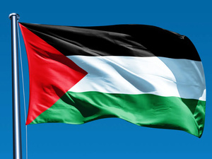 الصين تجدد موقفها: غزة أرض فلسطينية لا تقبل المساومة