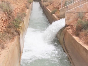 بركة : مشاريع تجميع الأمطار ساهمت في خفض استهلاك الماء بـ30% بركة : مشاريع تجميع الأمطار ساهمت في خفض استهلاك الماء بـ30%