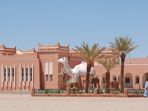 المندوبية الجهوية للسياحة : 46 ألف ليلة مبيت سياحية تعكس نمو القطاع في كلميم-وادنون المندوبية الجهوية للسياحة : 46 ألف ليلة مبيت سياحية تعكس نمو القطاع في كلميم-وادنون