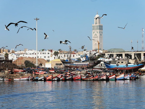 المغرب وصناعة الصيد البحري: نموذج عالمي في الاستدامة والجودة وركيزة للاقتصاد الأزرق المغرب وصناعة الصيد البحري: نموذج عالمي في الاستدامة والجودة وركيزة للاقتصاد الأزرق