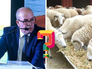 مقالة رأي : قرار وزير الفلاحة يثير الحيرة مقالة رأي : قرار وزير الفلاحة يثير الحيرة