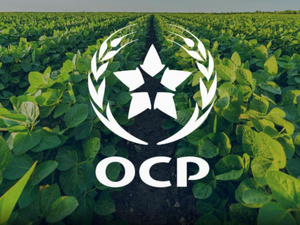 OCP تقود التحول الزراعي المستدام عالميًا بتعزيز مكانتها في سوق الأسمدة والحلول المتخصصة OCP تقود التحول الزراعي المستدام عالميًا بتعزيز مكانتها في سوق الأسمدة والحلول المتخصصة