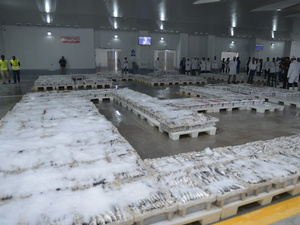 صرخة مهنيو السمك بالجملة: "لا لاحتكار الصناديق البلاستيكية… نعم للعدالة في الولوج إلى الثروة السمكية" صرخة مهنيو السمك بالجملة: "لا لاحتكار الصناديق البلاستيكية… نعم للعدالة في الولوج إلى الثروة السمكية"