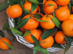 المغرب يزيح جنوب إفريقيا ويتربع على عرش موردي الماندرين لإسبانيا المغرب يزيح جنوب إفريقيا ويتربع على عرش موردي الماندرين لإسبانيا