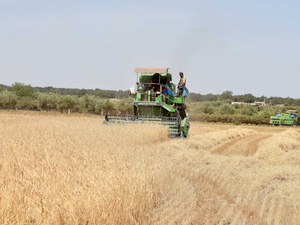 مالية 2026.. نمو متسارع وتضخم متراجع مع ضبط النفقات وتحسين الاستثمار مالية 2026.. نمو متسارع وتضخم متراجع مع ضبط النفقات وتحسين الاستثمار