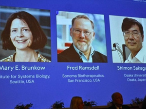 تحكم الجهاز المناعي محور جائزة نوبل للطب 2025 والتكريم يذهب لثلاثة علماء عالميين تحكم الجهاز المناعي محور جائزة نوبل للطب 2025 والتكريم يذهب لثلاثة علماء عالميين