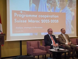 سويسرا تخصص 25 مليون فرنك لدعم التعاون الاقتصادي مع المغرب سويسرا تخصص 25 مليون فرنك لدعم التعاون الاقتصادي مع المغرب