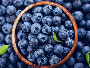 المغرب يعزز حضوره في سوق التوت الكندي بعد نمو صادراته إلى 1900 طن المغرب يعزز حضوره في سوق التوت الكندي بعد نمو صادراته إلى 1900 طن