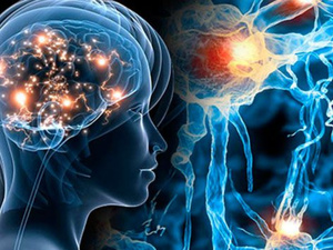 منظمة الصحة العالمية تحذر من أزمة عالمية بسبب اضطرابات الأعصاب : أكثر من 11 مليون وفاة سنوياً