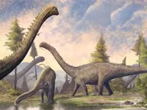 اكتشاف أقدم ديناصور من فصيلة "سيرابودا" في المغرب يعود لـ 168 مليون سنة اكتشاف أقدم ديناصور من فصيلة "سيرابودا" في المغرب يعود لـ 168 مليون سنة