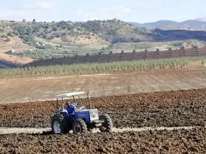 تأخر التساقطات يثير قلق الفلاحين ويُنذر بموسم فلاحي صعب تأخر التساقطات يثير قلق الفلاحين ويُنذر بموسم فلاحي صعب