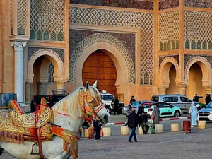 مجلس الحكومة يصادق على إحداث منطقة التسريع الصناعي بمكناس ويضيف مؤسسات جديدة إلى لائحة الشراكة التعليمية