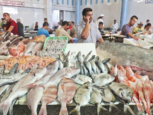 الدريوش تكشف عن إجراءات حكومية لضبط أسعار الأسماك وتعزيز التسويق المحلي الدريوش تكشف عن إجراءات حكومية لضبط أسعار الأسماك وتعزيز التسويق المحلي