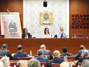 دواء للحيوانات استخدمه مواطنون في كورونا.. تصريحات برلمانية تشعل النقاش في لجنة المالية