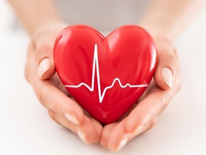 دراسة فرنسية: ليس كل الغذاء النباتي مفيد للقلب! دراسة فرنسية: ليس كل الغذاء النباتي مفيد للقلب!