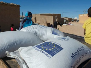 منظمة “شعاع لحقوق الإنسان” تطالب بالتحقيق في مزاعم تعذيب مسؤولين سابقين بالهلال الأحمر الجزائري منظمة “شعاع لحقوق الإنسان” تطالب بالتحقيق في مزاعم تعذيب مسؤولين سابقين بالهلال الأحمر الجزائري