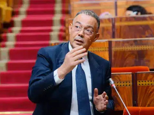 44.6 مليار درهم.. لقجع يوضح تفاصيل تمويل الدعم الاجتماعي المباشر للأسر